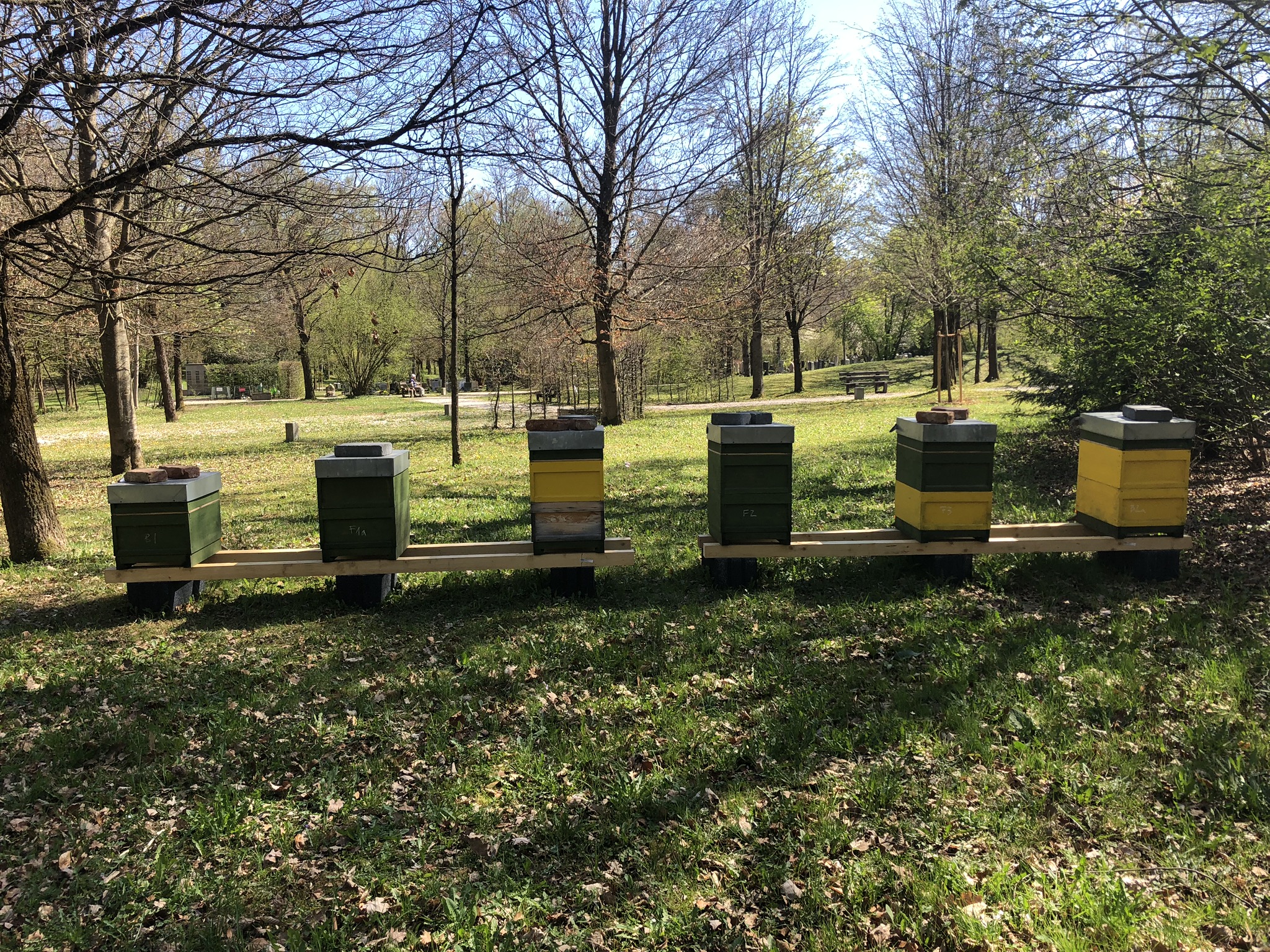 You are currently viewing Neue Standorte – Umzug der Bienen