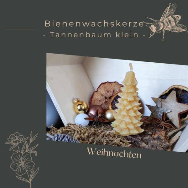 Tannenbaum klein Kerze